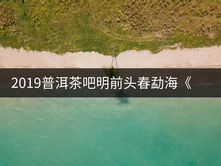 2019普洱茶吧明前頭春勐?！对鹿獍住钒撞鑳?yōu)惠訂購