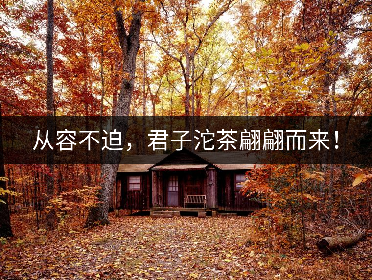 從容不迫，君子沱茶翩翩而來(lái)！