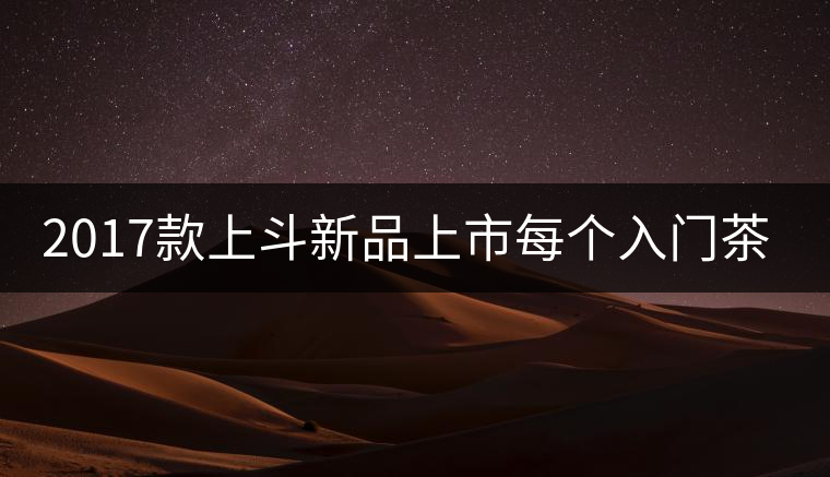 2017款上斗新品上市每個(gè)入門(mén)茶人都欠自己一餅上斗！