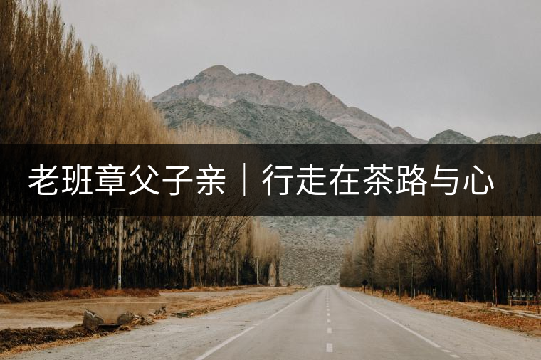 老班章父子親｜行走在茶路與心路上，訴說(shuō)濃濃父子情