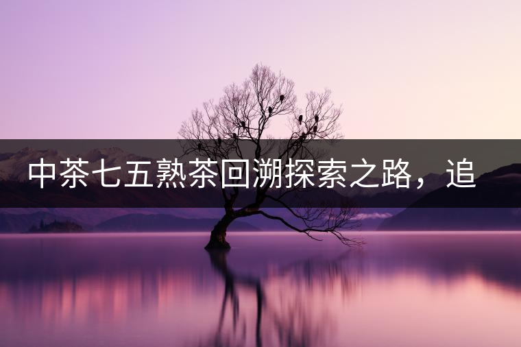 中茶七五熟茶回溯探索之路，追尋歷史印跡