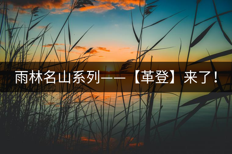 雨林名山系列——【革登】來了！