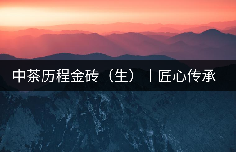 中茶歷程金磚（生）丨匠心傳承，精品迭出