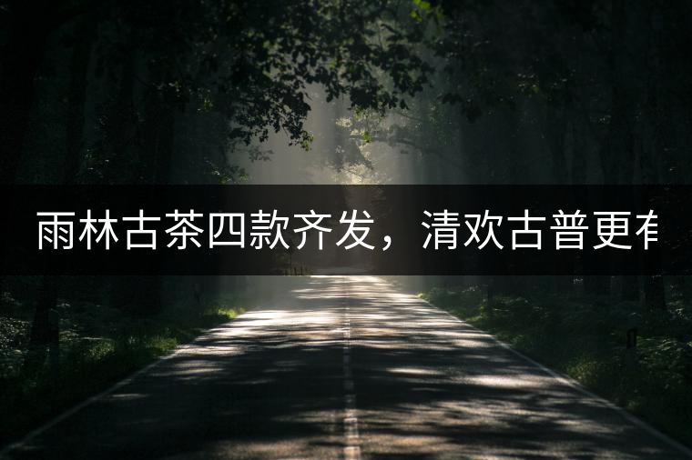 雨林古茶四款齊發(fā)，清歡古普更有味！