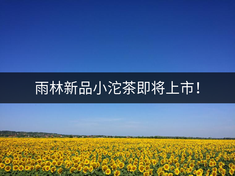 雨林新品小沱茶即將上市！