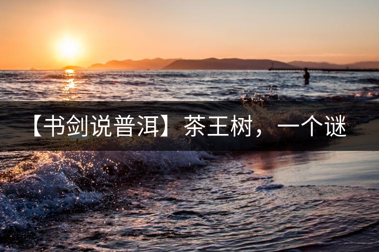 【書(shū)劍說(shuō)普洱】茶王樹(shù)，一個(gè)謎一樣的地方