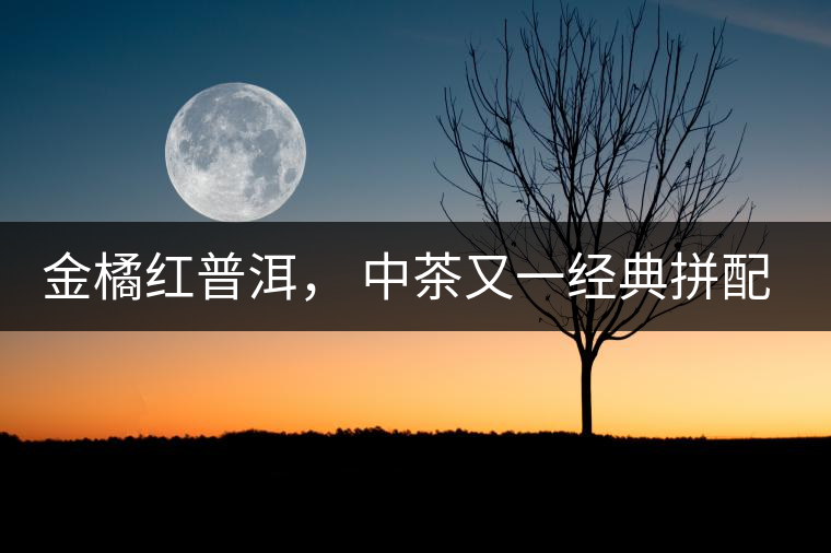 金橘紅普洱， 中茶又一經(jīng)典拼配力作，值得期待！