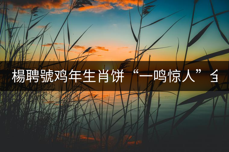 楊聘號(hào)雞年生肖餅“一鳴驚人”全國上市！