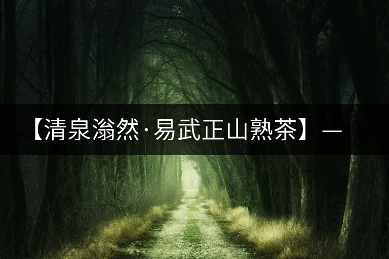 【清泉滃然·易武正山熟茶】——熨帖冬季的寒冷，來的正是時候！