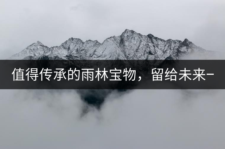 值得傳承的雨林寶物，留給未來一點“回甘”！