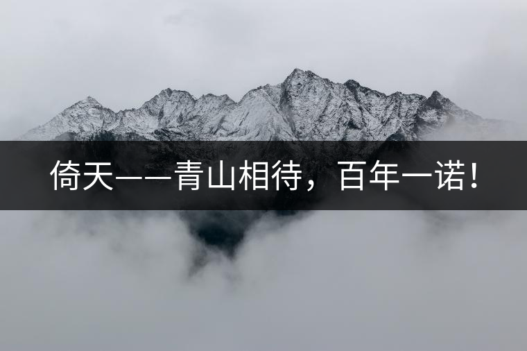 倚天——青山相待，百年一諾！