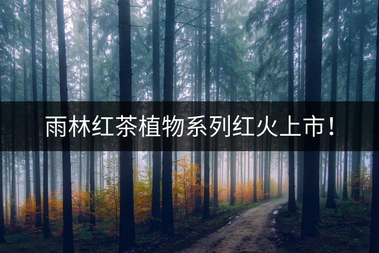 雨林紅茶植物系列紅火上市！
