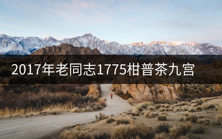 2017年老同志1775柑普茶九宮格裝上市