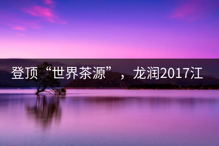 登頂“世界茶源”，龍潤2017江城茶上市啦！