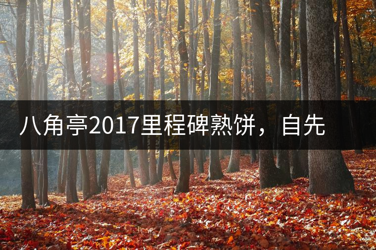 八角亭2017里程碑熟餅，自先發(fā)酵而后愛人
