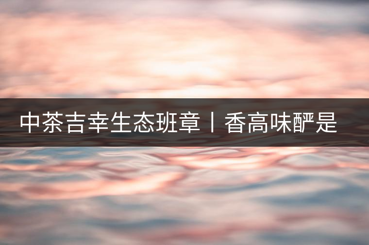 中茶吉幸生態(tài)班章丨香高味釅是王者，且品且珍惜