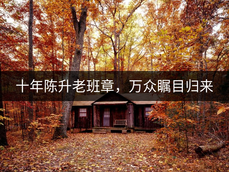 十年陳升老班章，萬眾矚目歸來