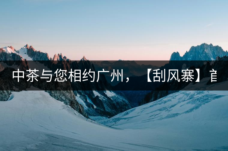 中茶與您相約廣州，【刮風(fēng)寨】首次亮相！