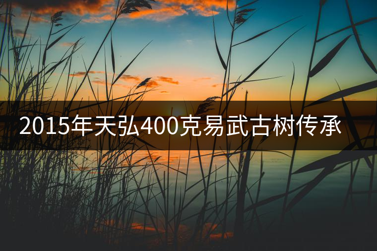 2015年天弘400克易武古樹(shù)傳承熟茶上市