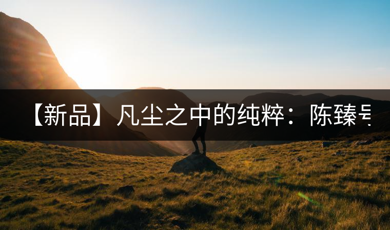 【新品】凡塵之中的純粹：陳臻號(hào)2016年精品青餅即將上市！