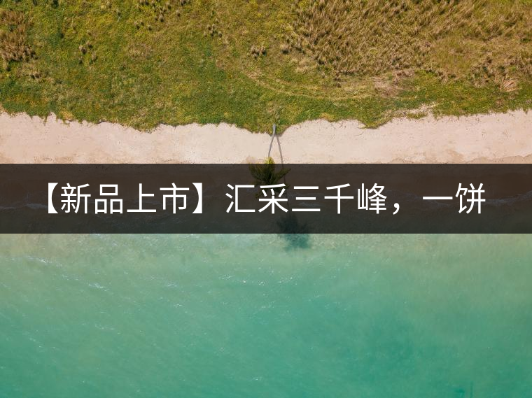 【新品上市】匯采三千峰，一餅群山鑄——群峰之峻！