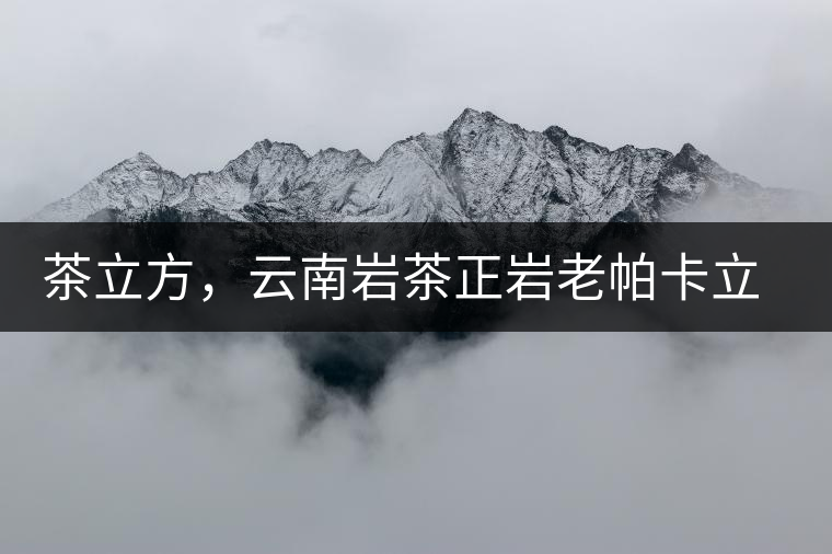 茶立方，云南巖茶正巖老帕卡立方磚今日芳香出爐