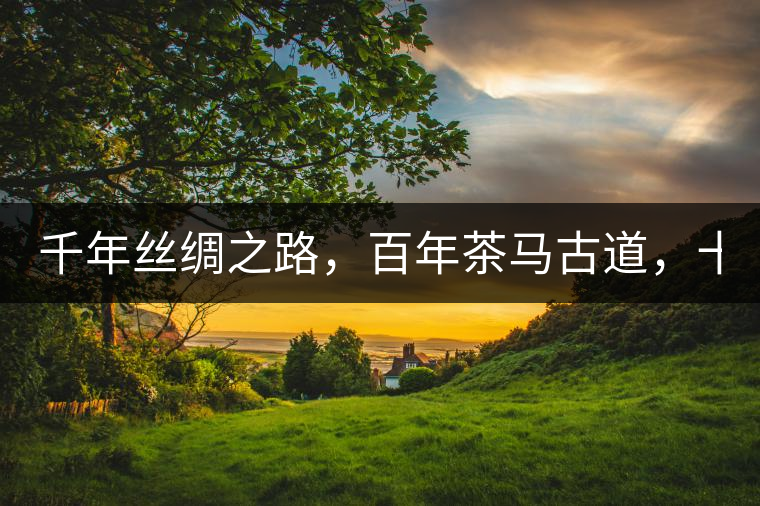 千年絲綢之路，百年茶馬古道，十年尋茶之旅，鑄造Puertea（十年紀念茶）