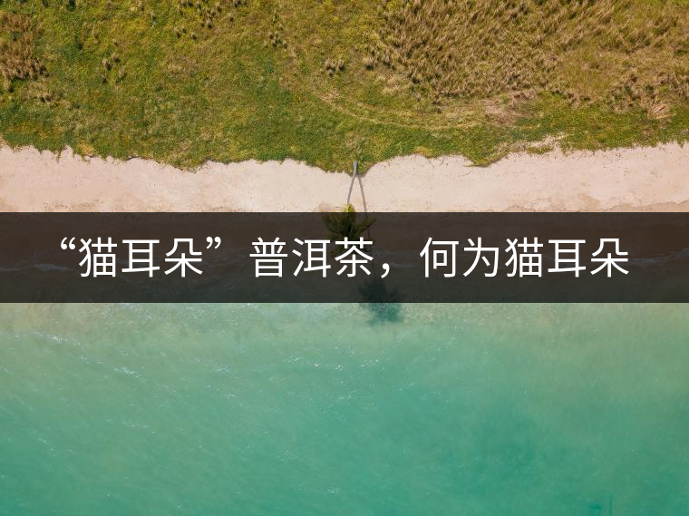 “貓耳朵”普洱茶，何為貓耳朵？