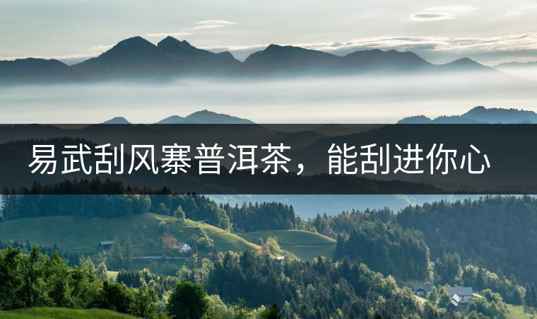 易武刮風(fēng)寨普洱茶，能刮進(jìn)你心中的一道風(fēng)