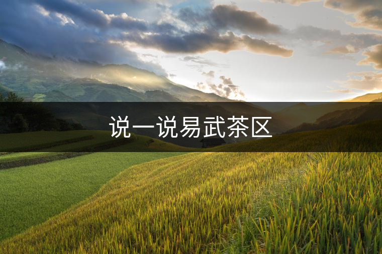 說(shuō)一說(shuō)易武茶區(qū)