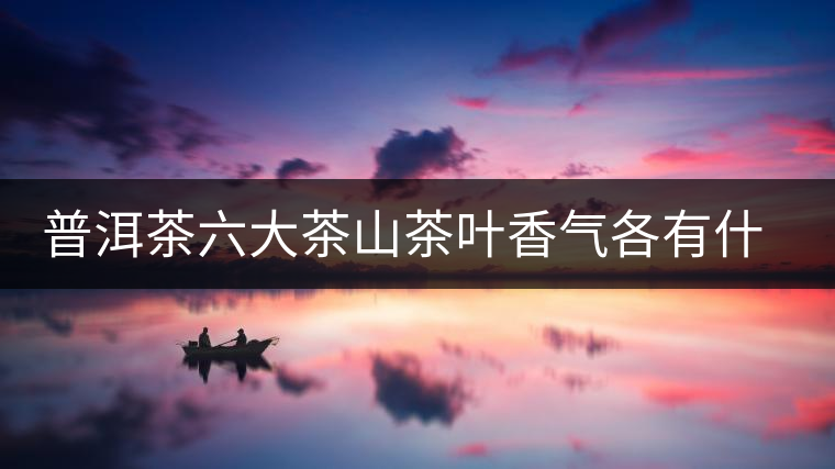 普洱茶六大茶山茶葉香氣各有什么特點？