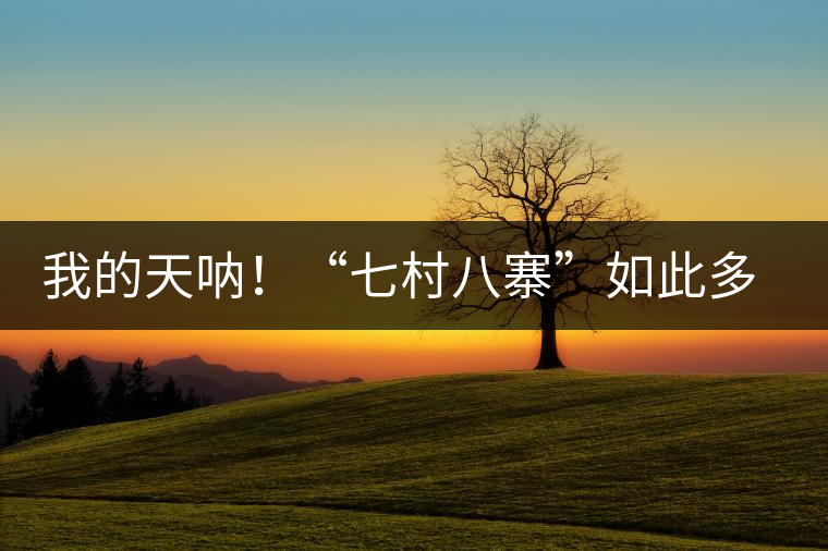 我的天吶！“七村八寨”如此多的易武茶，品質(zhì)特色如何分辨？