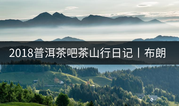 2018普洱茶吧茶山行日記丨布朗山帕點(diǎn)古茶園（二）