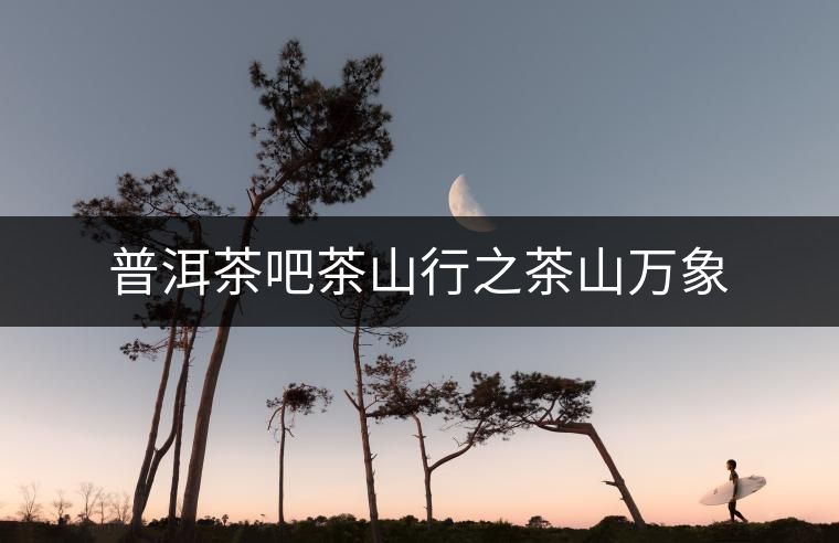 普洱茶吧茶山行之茶山萬象 普洱茶吧茶山行之茶山萬象