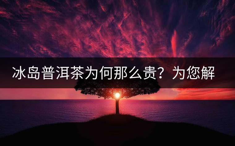冰島普洱茶為何那么貴？為您解析其中的原由