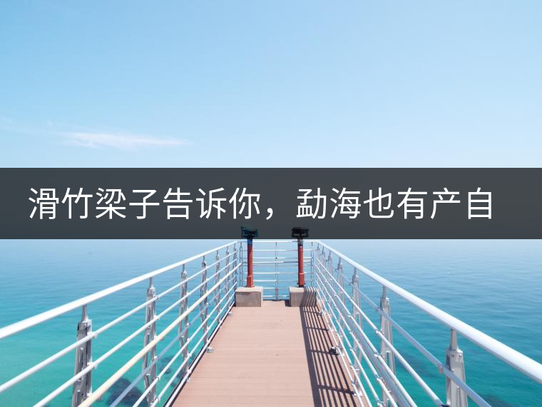 滑竹梁子告訴你，勐海也有產(chǎn)自國有林里的好茶！