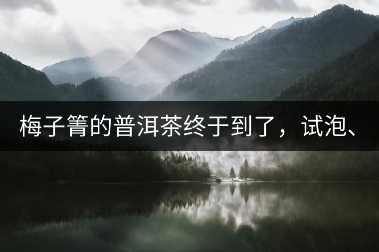 梅子箐的普洱茶終于到了，試泡、、、