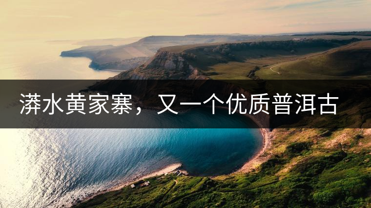 漭水黃家寨，又一個優(yōu)質(zhì)普洱古樹群落