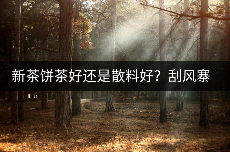 新茶餅茶好還是散料好？刮風(fēng)寨開湯評測