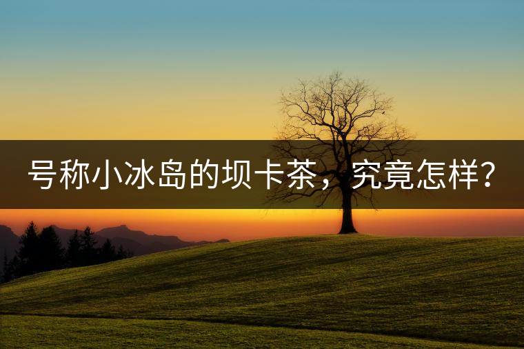 號稱小冰島的壩卡茶，究竟怎樣？