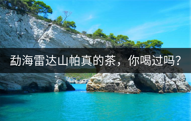 勐海雷達(dá)山帕真的茶，你喝過(guò)嗎？