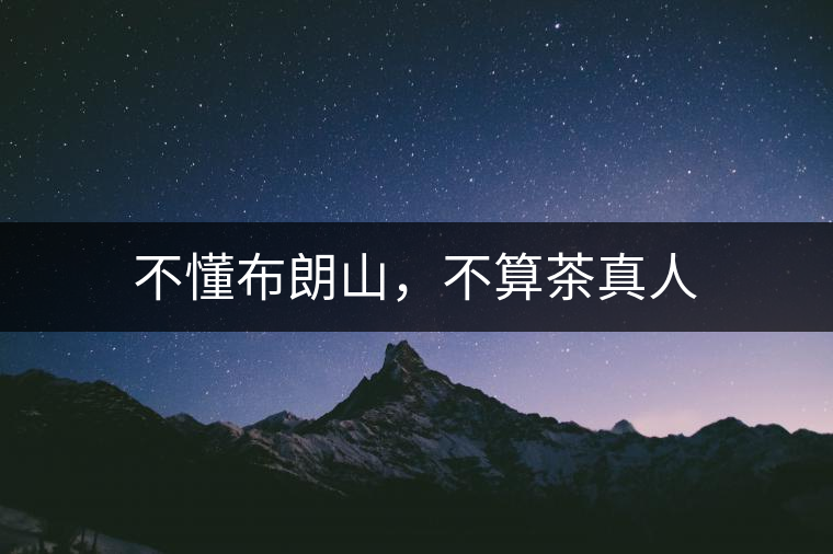 不懂布朗山，不算茶真人