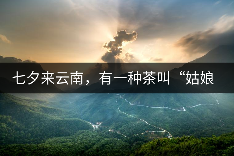 七夕來云南，有一種茶叫“姑娘茶”，也許你就能遇上