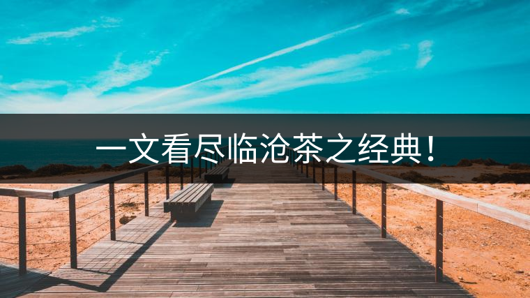 一文看盡臨滄茶之經(jīng)典！