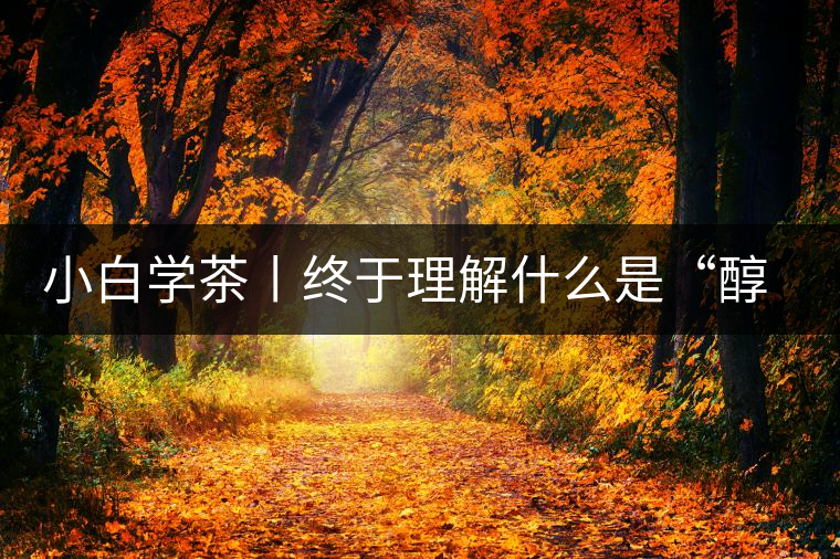 小白學(xué)茶丨終于理解什么是“醇厚、耐泡，回甘”了