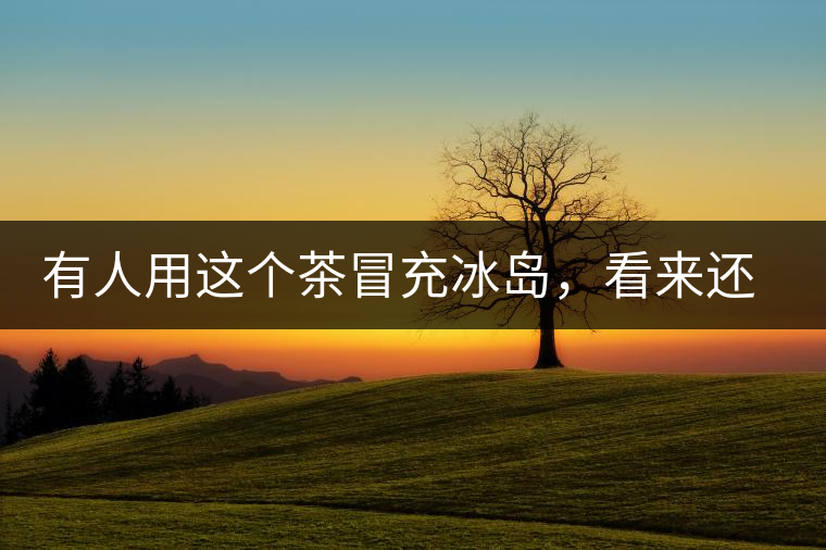 有人用這個茶冒充冰島，看來還是有幾分道理