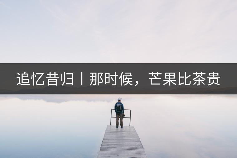 追憶昔歸丨那時候，芒果比茶貴