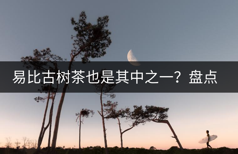 易比古樹茶也是其中之一？盤點當下易武最火的十大古樹茶！