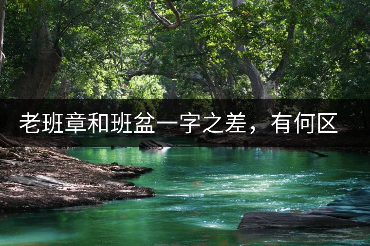 老班章和班盆一字之差，有何區(qū)別