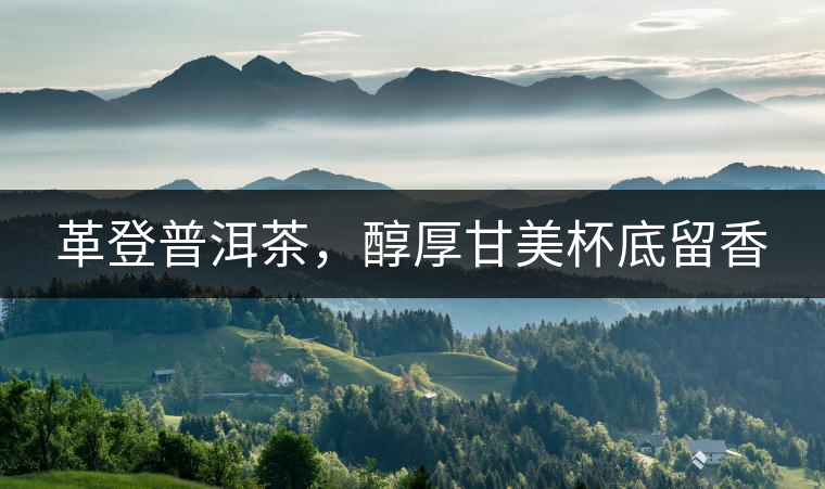 革登普洱茶，醇厚甘美杯底留香